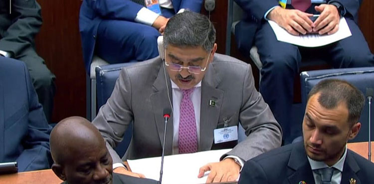 PM Kakar urges global support to developing nations on climate ambitions