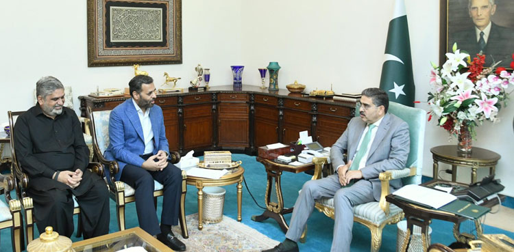 MQM-P leaders meet PM, raise concern over costly electricity