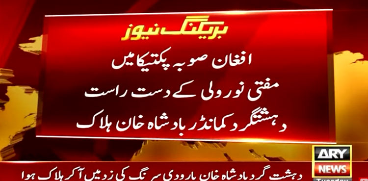 ‘Most-wanted’ TTP commander Badshah Khan killed in Afghanistan