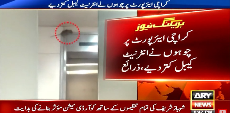 Mice damage internet cables at Karachi airport