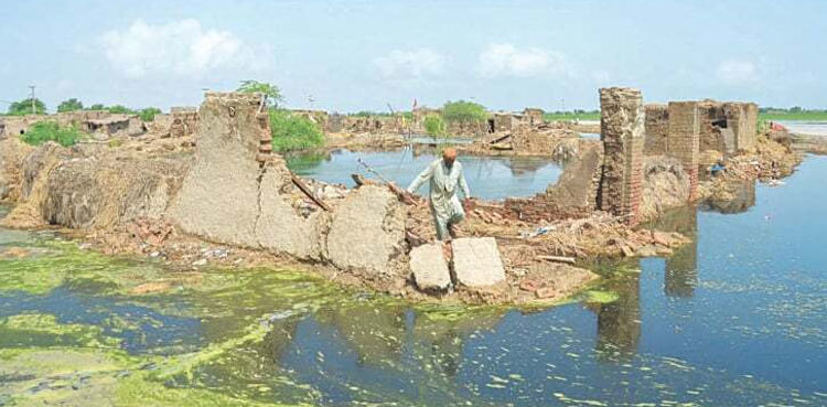 Planning minister directs to expedite projects under 4RF framework