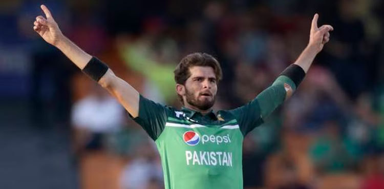 Five bowlers to watch at the ODI World Cup 2023