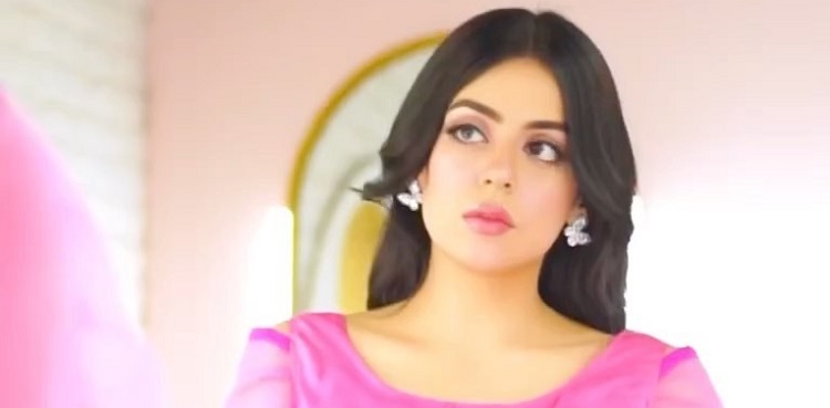 Yashma Gill turns heads with her style: Watch reel