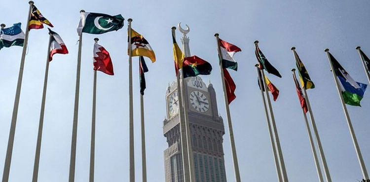 Gaza in spotlight as Arab League, OIC hold joint summit in Riyadh