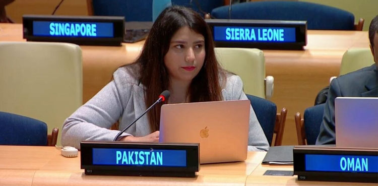 At UN, Pakistan calls Israel’s fierce actions against Palestinians in Gaza ‘war crimes’