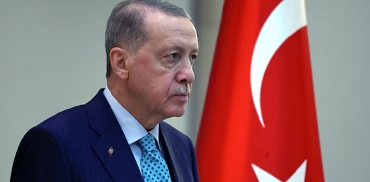 BRICS offered Turkey partner country status, Turkish minister says