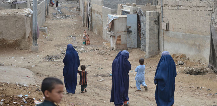 Decision to deport illegal immigrants in line with global norms: FO