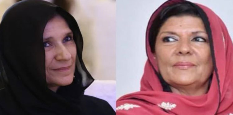 Asad Umar, Aleema and Uzma Khan's interim bail extended