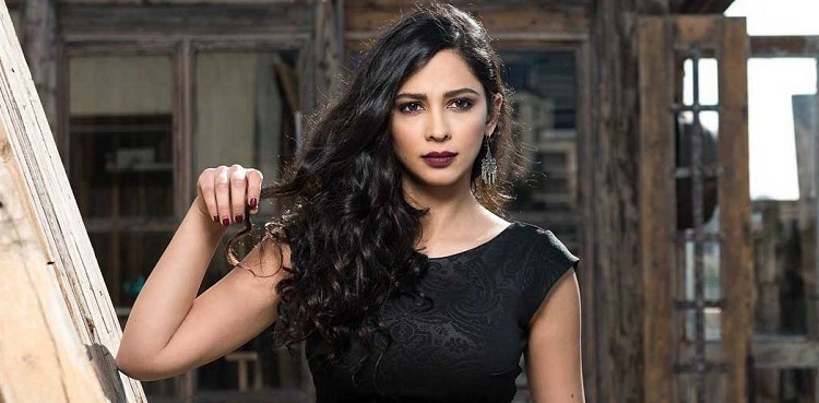 Arab-Israeli actor arrested over Gaza post