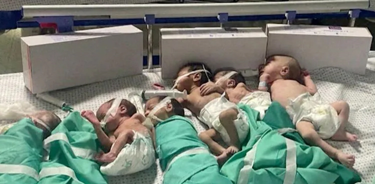 Premature babies in grave peril at Gaza's Al Shifa hospital