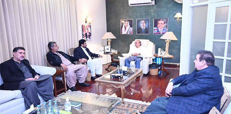Asif Zardari, Sindh governor discuss political situation