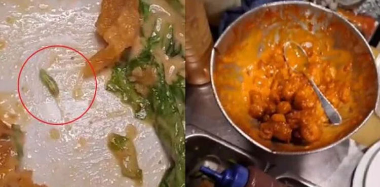 Passengers find insects in meals being served at Karachi airport
