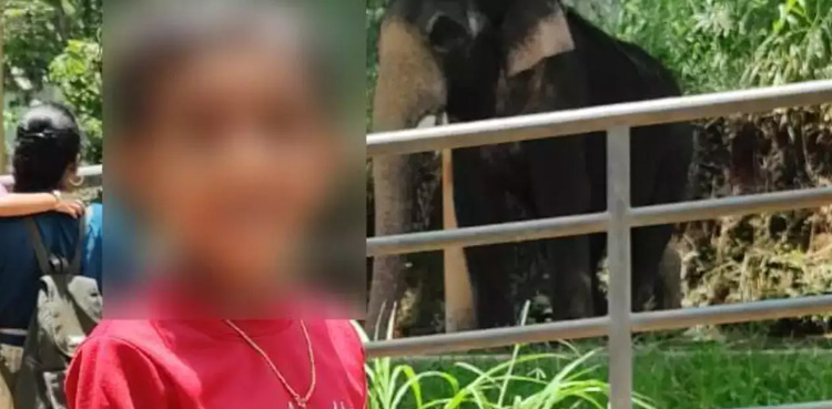 Kidnapped six-year-old girl found in an abandoned car