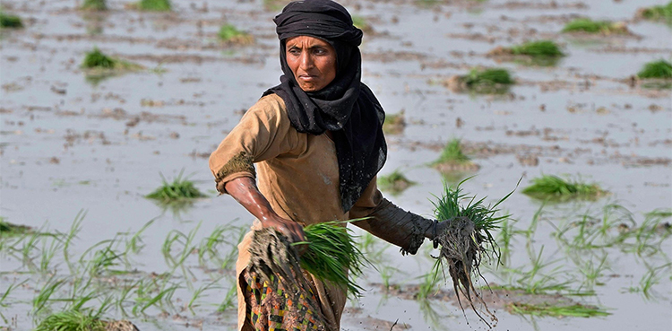 Pakistan’s women go unheard in climate change conversations
