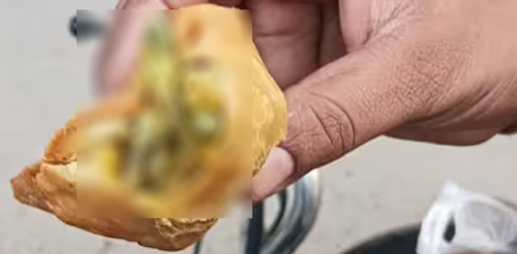 Man, daughter fall sick after dead lizard found in samosa