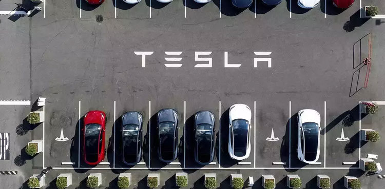 Tesla sues Swedish state over strike fallout