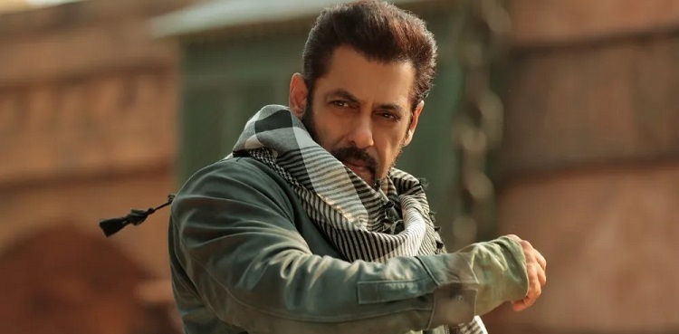 Salman Khan reacts to 'Tiger 3' success
