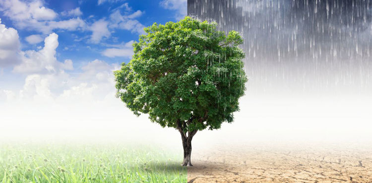 Experts Convene to Tackle Climate Change, Agriculture, and Nutrition in Pakistan