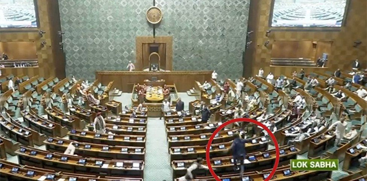 WATCH: Man jumps into lawmakers' area in Indian parliament
