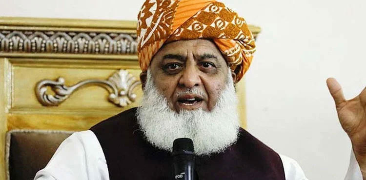 Fazalur Rehman decries 'burden' of taxes in budget 2024-25
