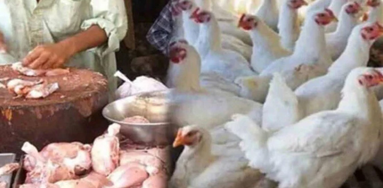 Poultry association calls strike in Karachi