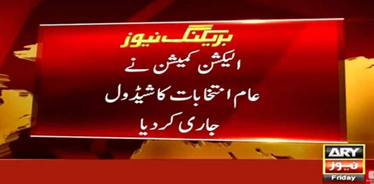 General polls: ECP issues election schedule after SC order