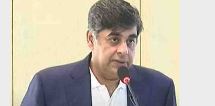 Some IPPs being paid Rs 750 per unit for electricity: Gohar Ejaz
