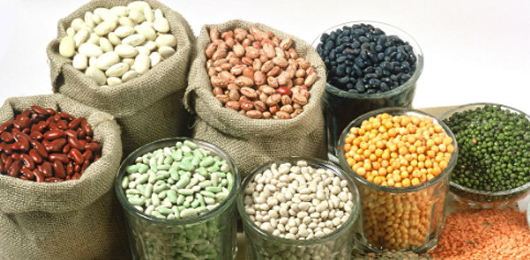 China to support Pakistan in developing high-quality hybrid seeds