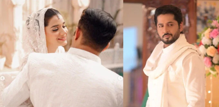 Imran Ashraf's post goes viral and comments are the reason