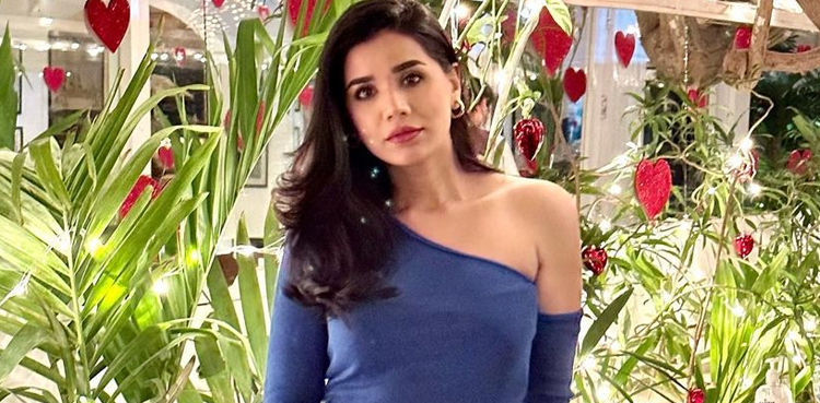 Kiran Ashfaque's response to social media troll goes viral