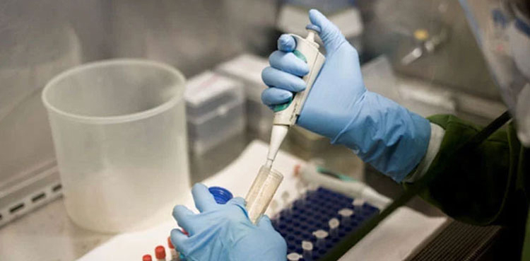 Poliovirus found in environmental samples