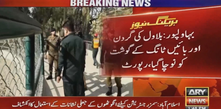 Autopsy reveals details of Bahawalpur man's death by tigers