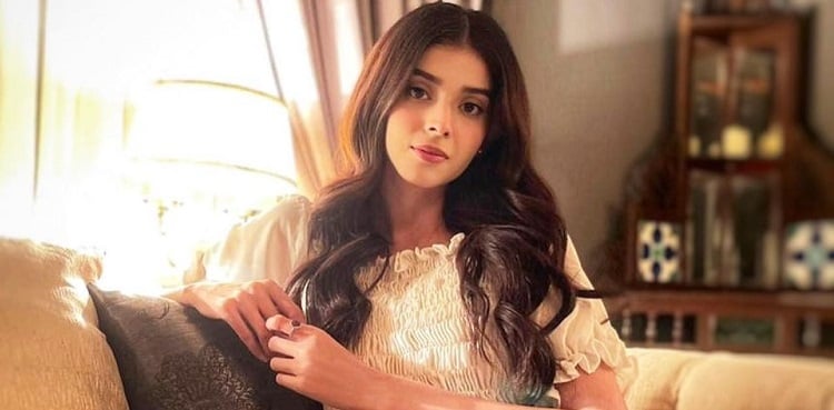 'Hi December...': Zainab Shabbir wins the internet with new post