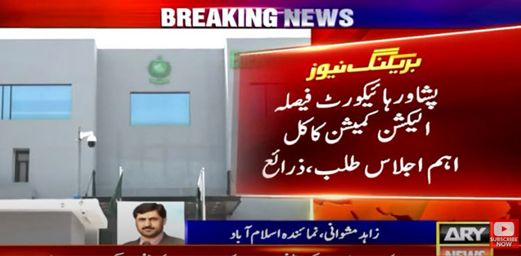 ECP summons meeting after PHC restores PTI 'bat' symbol