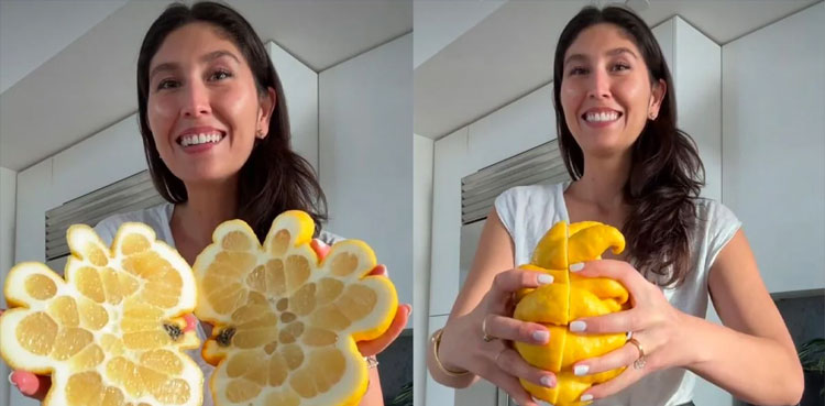 Watch: Strange-shaped lemon takes social media by storm