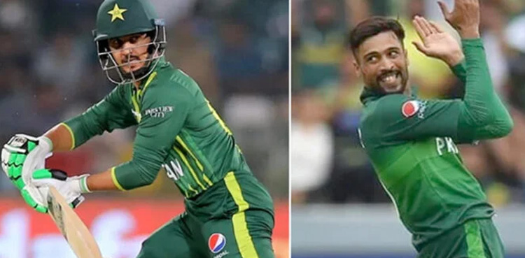 Mohammad Amir backs 'young players' amid T20 defeat in New Zealand