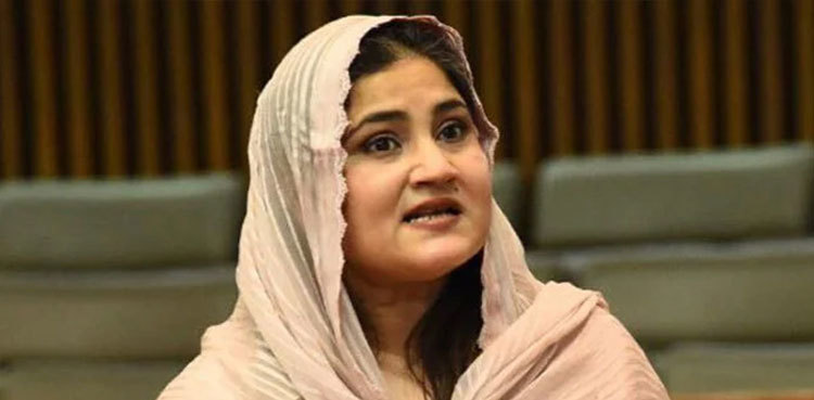 Elections 2024: JUI-F to support GDA's Saira Bano on NA-210