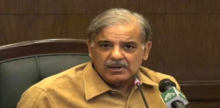 Election delay would be detrimental for Pakistan: Shehbaz