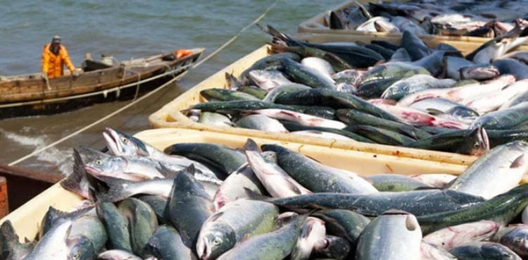 Pakistan exports seafood worth $322.9mln in nine months