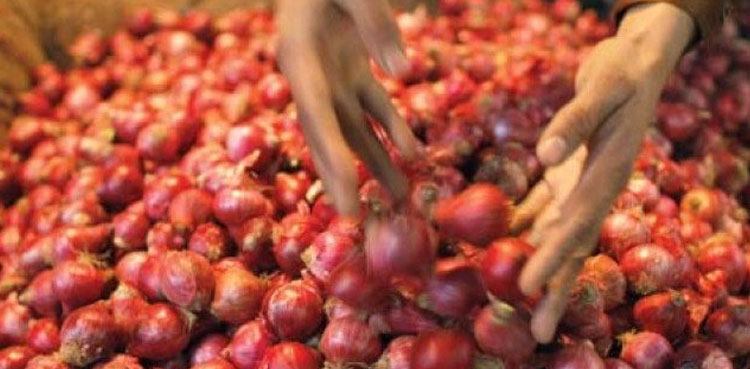 Onion price reaches ‘triple century’ as inflation inches up