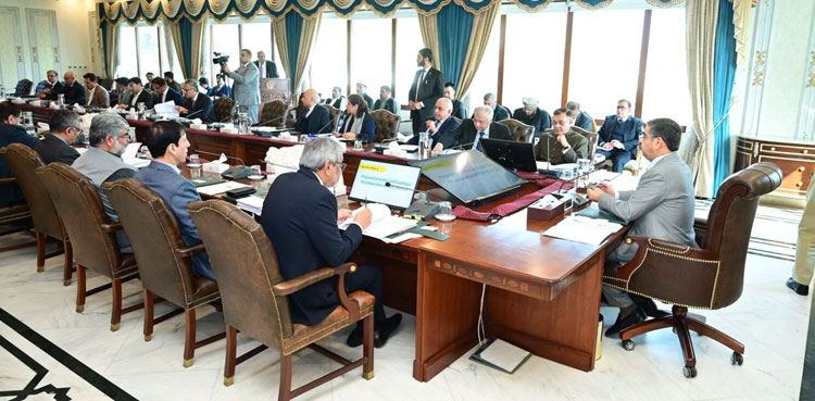 NEC directs priority financial allocations for merged, backward districts