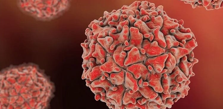 Pakistan reports seventh polio case of 2025