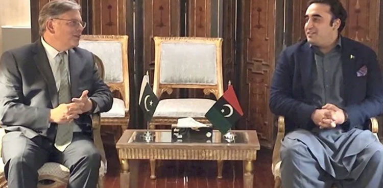 Bilawal Bhutto, US envoy discuss political situation, elections 2024
