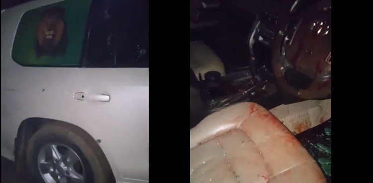 Gunfire erupts, leaving five injured at PML-N rally in Lahore