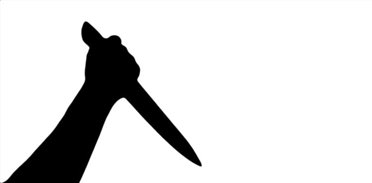 Software company's CEO killing: Victim's brother narrates shocking details