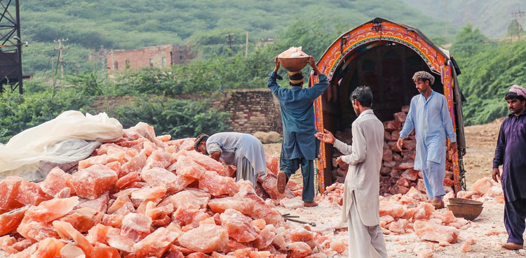Punjab CM seeks comprehensive plan for export of pink salt