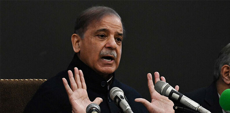 PML-N to sit in opposition if PTI-backed independents form govt: Shehbaz