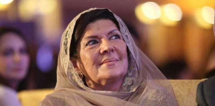 PTI senior leadership 'concerned' over Aleema Khan's involvement in party affairs