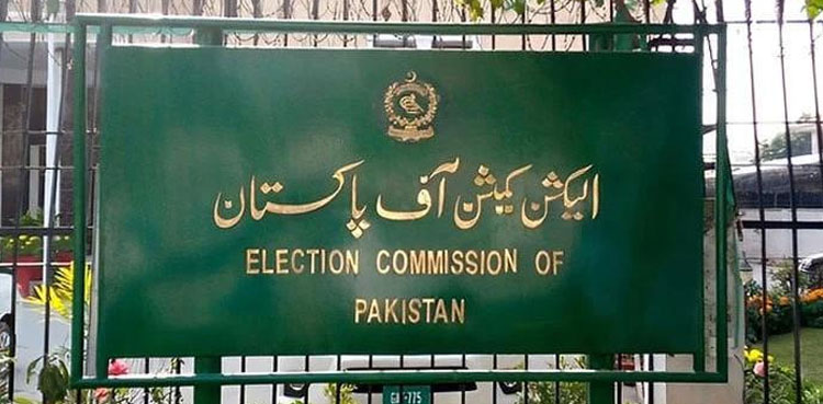ECP rejects Salman Akram Raja's plea against election results