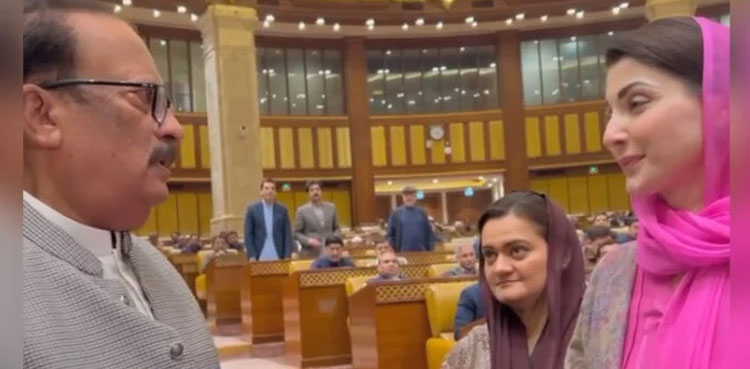 Maryam Nawaz meets top opposition lawmaker Rana Aftab